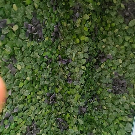 Rajabai Apartman Almansa Kültér fotó